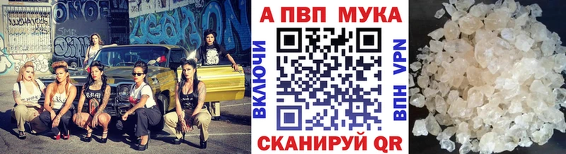закладки  Звенигород  Alfa_PVP СК КРИС 