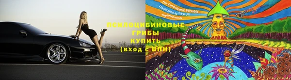 шишки Алексин