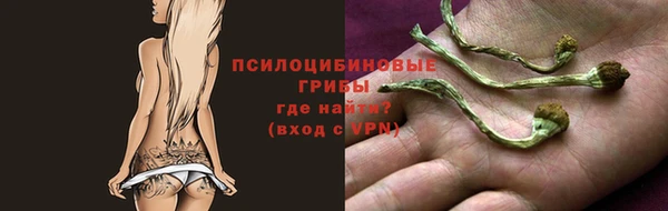 винт Алзамай
