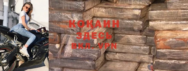 винт Алзамай