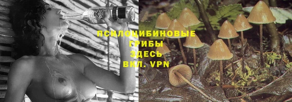 шишки Алексин